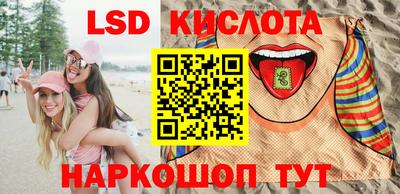 стафф Кудрово